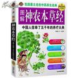 鼺鼠(鼺鼠) 鼺鼠(鼺鼠)