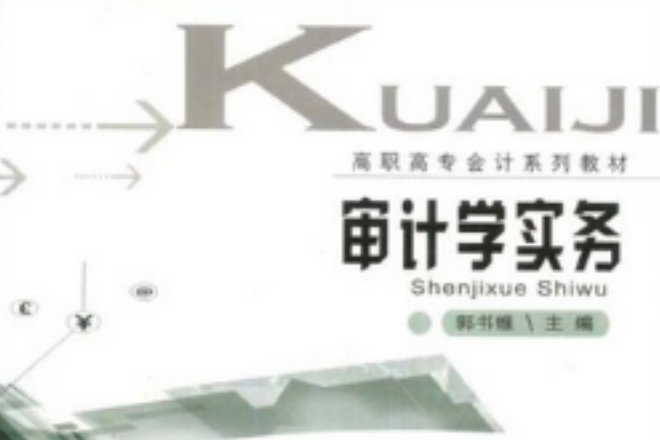 審計學實務(2004年重慶大學出版社出版的圖書) 審計學實務(2004年重慶大學出版社出版的圖書)