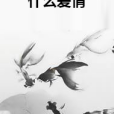 什麼愛情 什麼愛情