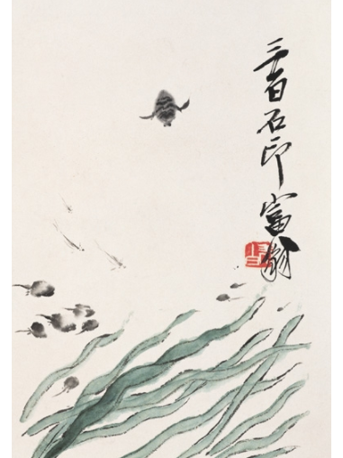 水草蝌蚪 水草蝌蚪