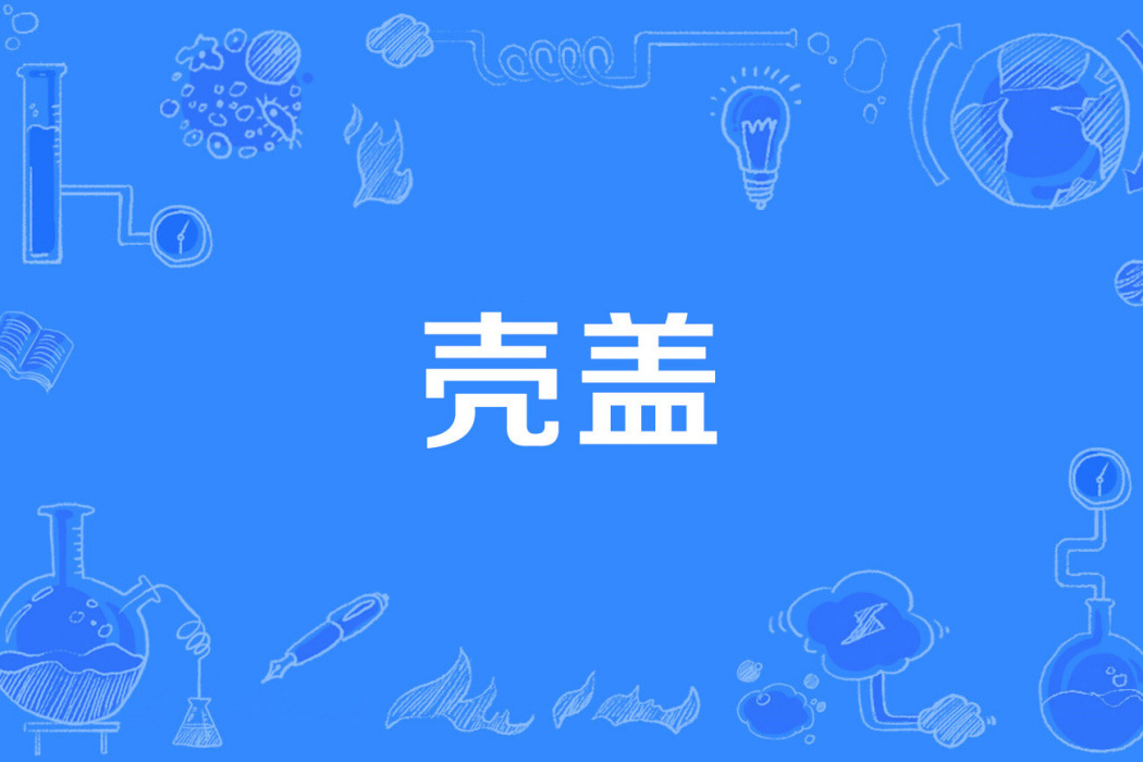 殼蓋 殼蓋