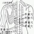 李氏胃炎貼 李氏胃炎貼