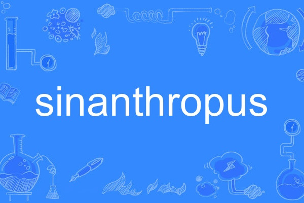 sinanthropus sinanthropus