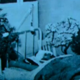 山本榮治 山本榮治