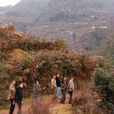 雲龍鄉(福建閩清縣下轄鄉) 雲龍鄉(福建閩清縣下轄鄉)