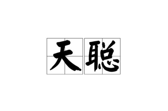 天聰(漢語辭彙)