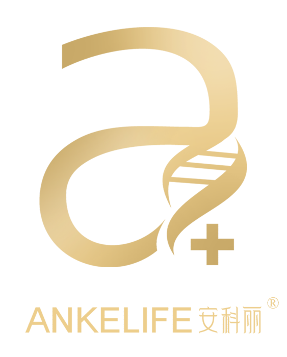 安科麗 安科麗