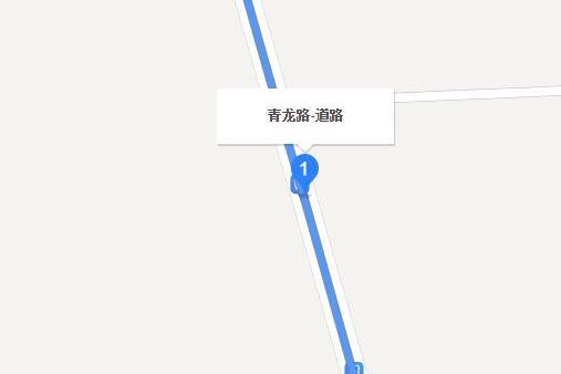 青龍路(泰州市青龍路) 青龍路(泰州市青龍路)