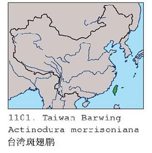 台灣斑翅鶥分布圖