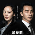 親愛的翻譯官(翻譯官(2015年楊冪、黃軒主演電視劇)) 親愛的翻譯官(翻譯官(2015年楊冪、黃軒主演電視劇))