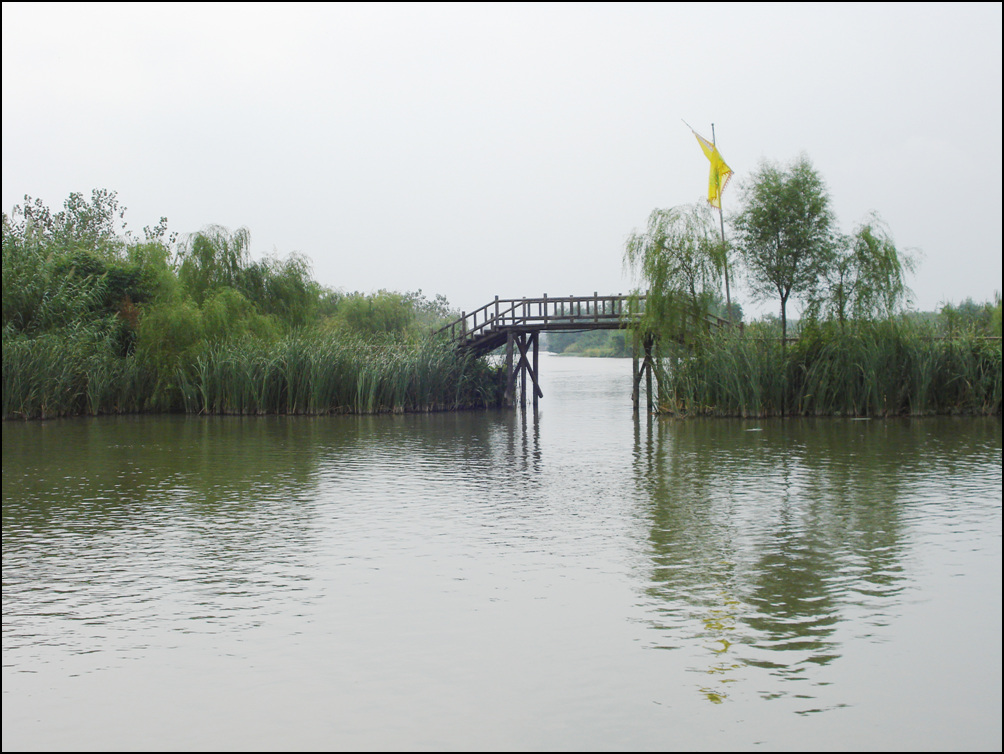 溱湖國家濕地公園實景拍攝