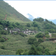 只嘎村 只嘎村