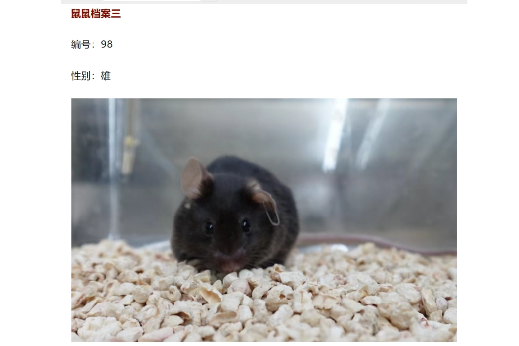 太空鼠98 太空鼠98
