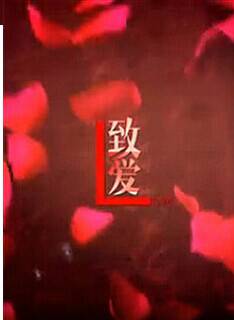 洪倩 洪倩