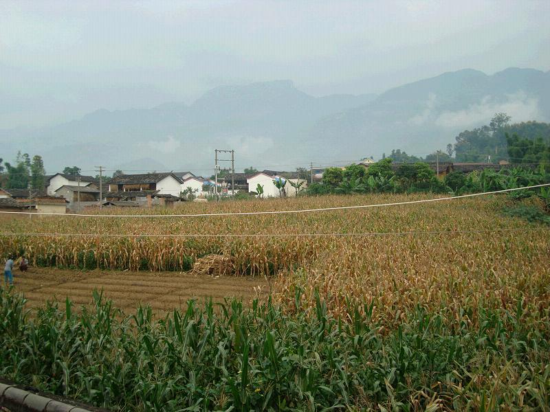 芒舊山村 芒舊山村