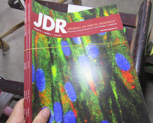 Journal of dental research