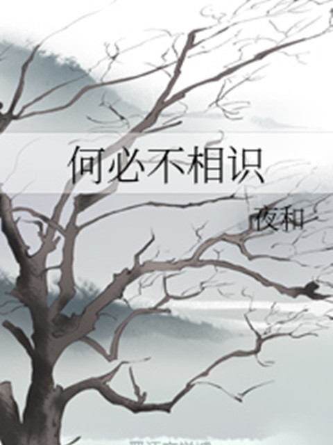 何必不相識 何必不相識