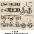 雙星藻屬 雙星藻屬