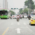 仲景路(南陽市仲景路) 仲景路(南陽市仲景路)