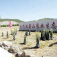三房身村 三房身村