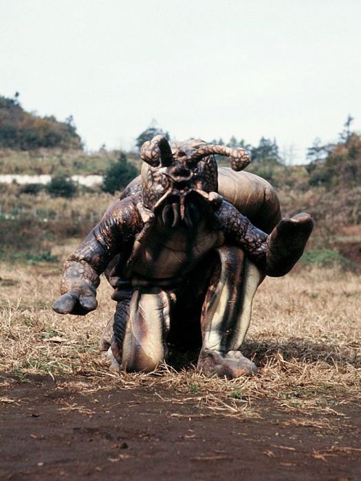 獸人蝸牛 獸人蝸牛