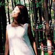 望春風(張杏月音樂專輯)