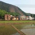 民主村(雲南省大理市雲龍縣長新鄉民主村) 民主村(雲南省大理市雲龍縣長新鄉民主村)