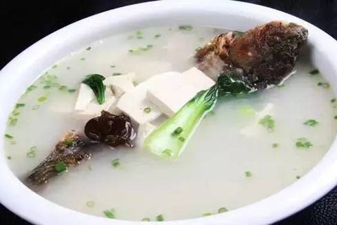 奶湯熬鯉魚 奶湯熬鯉魚