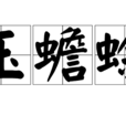 玉蟾蜍 玉蟾蜍