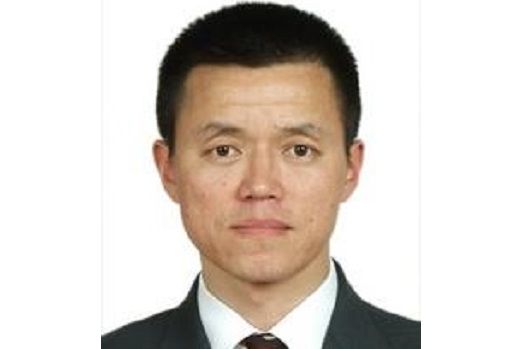 張金陽(中國地質大學(武漢)教授) 張金陽(中國地質大學(武漢)教授)