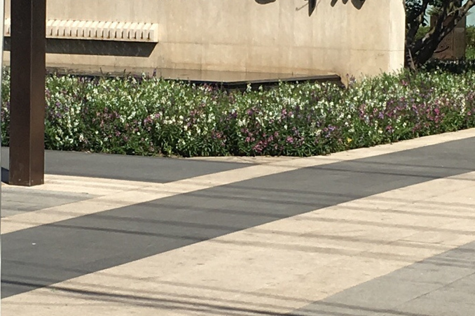 萬科西華府 萬科西華府