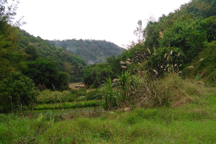 留塘村 留塘村