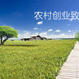 農村創業