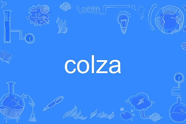 colza colza