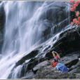 雪花濟 雪花濟