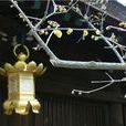 天滿宮 天滿宮