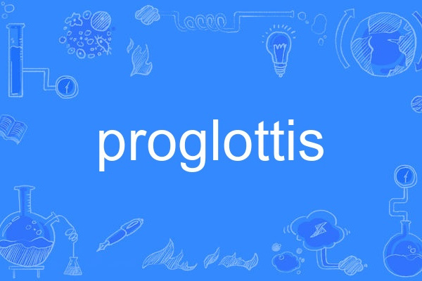 proglottis proglottis