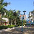 寶康公園 寶康公園
