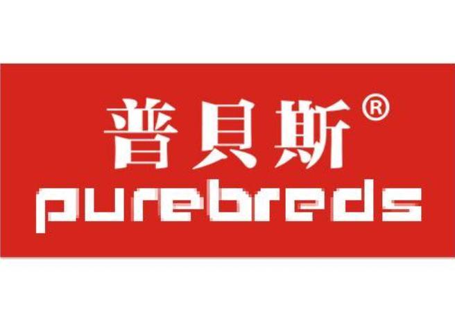 普貝斯 普貝斯