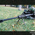 M107遠程狙擊步槍