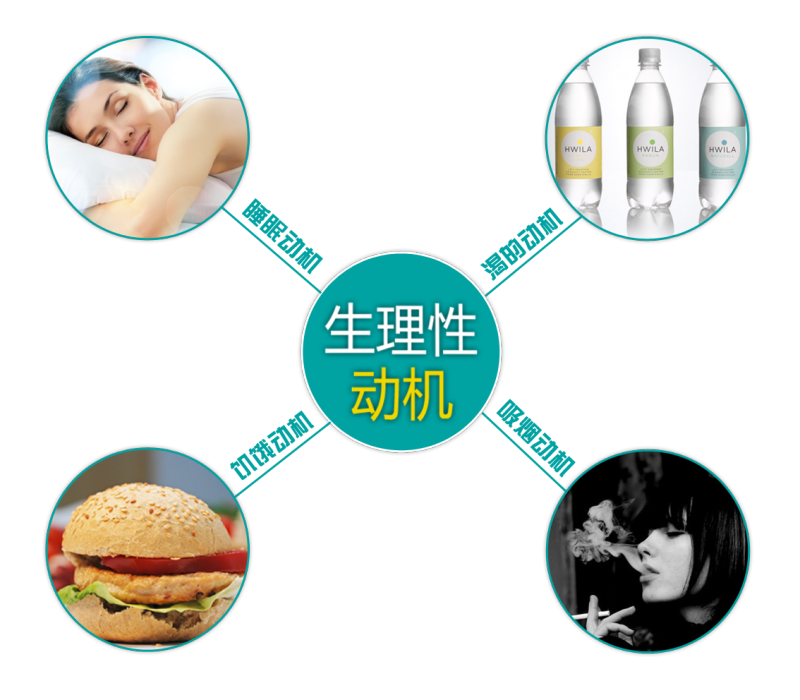 飢餓動機 飢餓動機