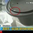 紫砂黑幕 紫砂黑幕