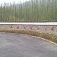 東顧山 東顧山