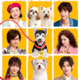 愛犬奇緣 愛犬奇緣
