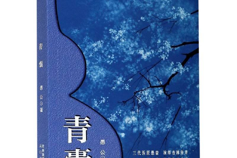 青囊(太白文藝出版社出版圖書) 青囊(太白文藝出版社出版圖書)