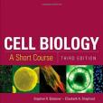 Cell Biology Cell Biology