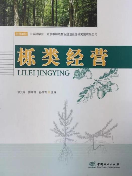 櫟類經營 櫟類經營