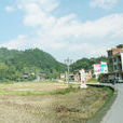米溪村(貴州省天柱縣邦洞鎮米溪村) 米溪村(貴州省天柱縣邦洞鎮米溪村)