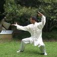 八法拳
