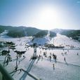 平昌郡(韓國城市)